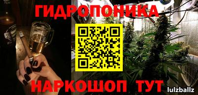индика Заводоуковск