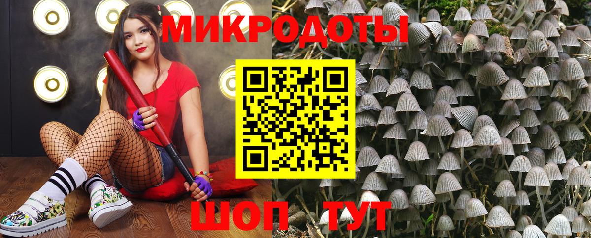 Псилоцибиновые грибы GOLDEN TEACHER Лянтор