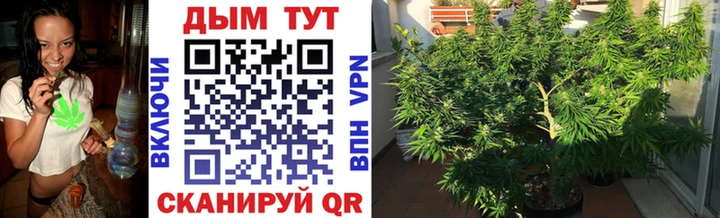 Бошки марихуана SATIVA & INDICA  Лянтор 